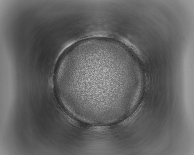 X0000112361166200908271247