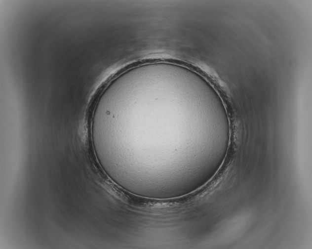 X0000112361167200908271247