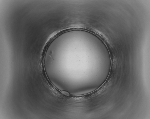 X0000112361168200908271247