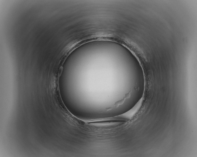 X0000112361169200908271247