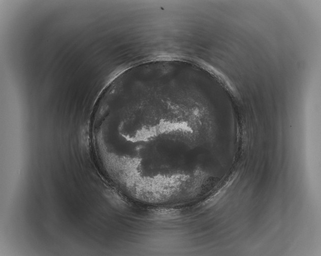 X0000112361170200908271247