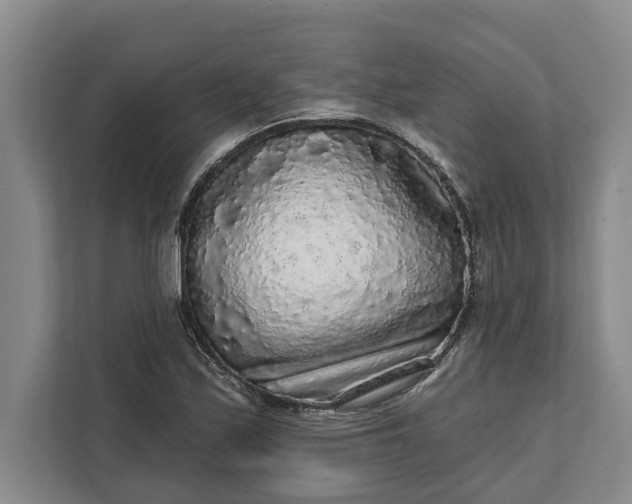 X0000112361171200908271247