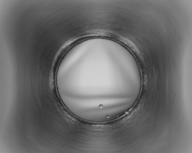 X0000112361172200908271247