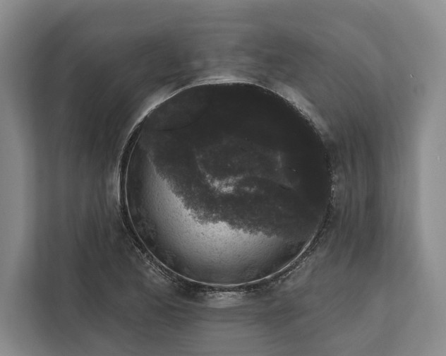 X0000112361173200908271247