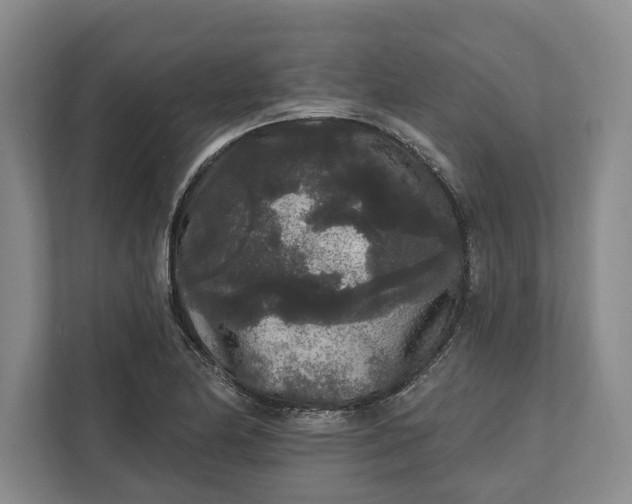 X0000112361174200908271247