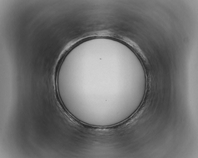 X0000112361176200908271247