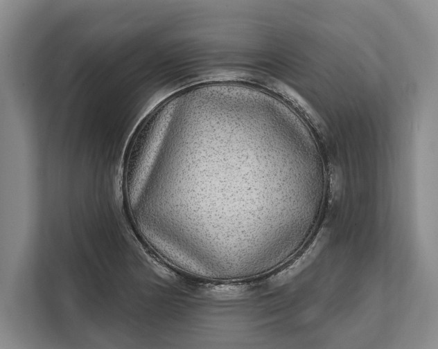 X0000112361178200908271247