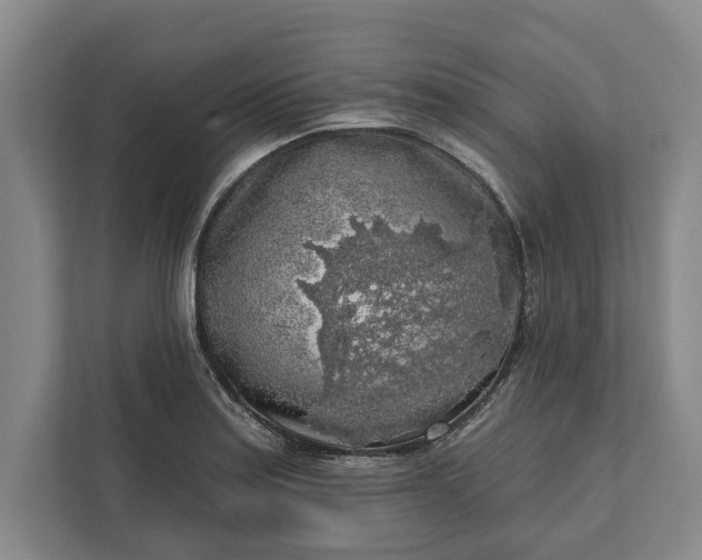 X0000112361179200908271247