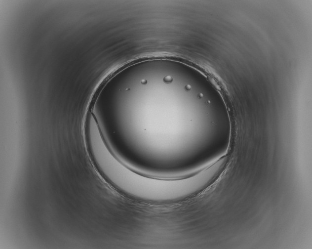 X0000112361181200908271247