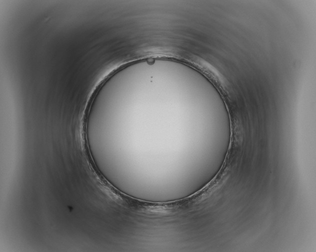 X0000112361182200908271247