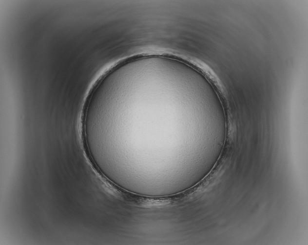 X0000112361183200908271247