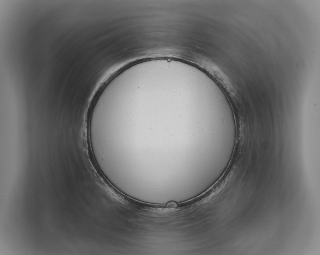 X0000112361184200908271247