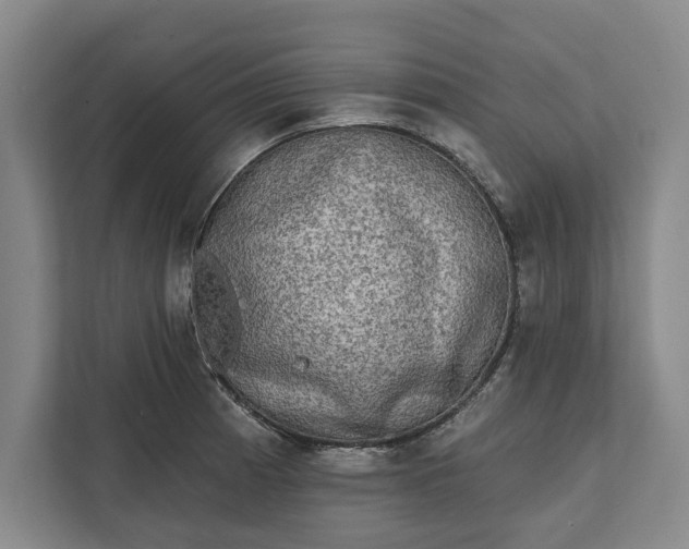 X0000112361185200908271247