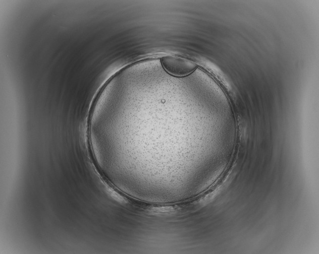 X0000112361186200908271247