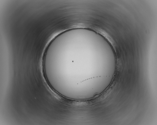 X0000112361187200908271247