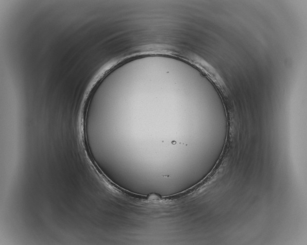 X0000112361188200908271247