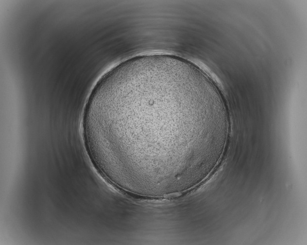 X0000112361189200908271247