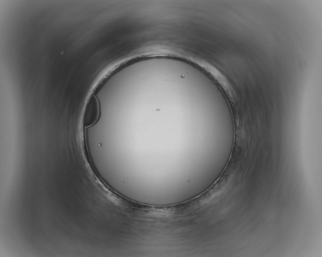 X0000112361191200908271247