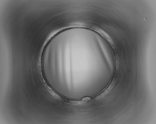 X0000112361192200908271247