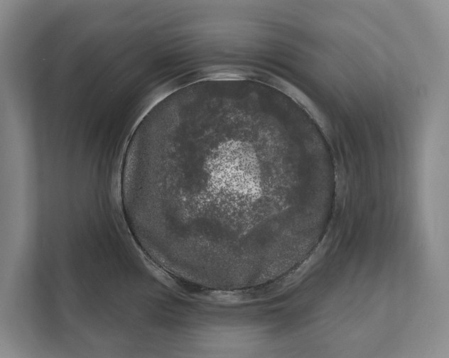 X0000112361194200908271247