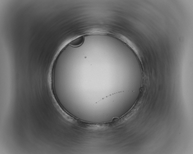 X0000112361195200908271247