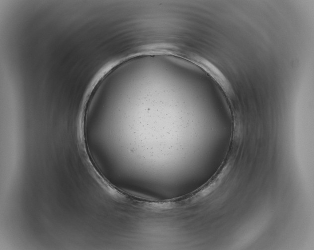 X0000112361196200908271247