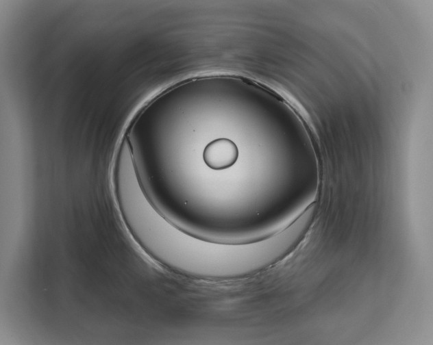 X0000112361197200908271247