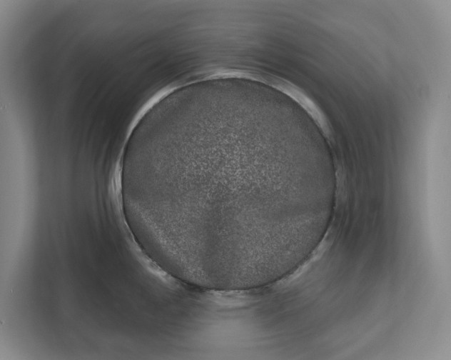 X0000112361198200908271247