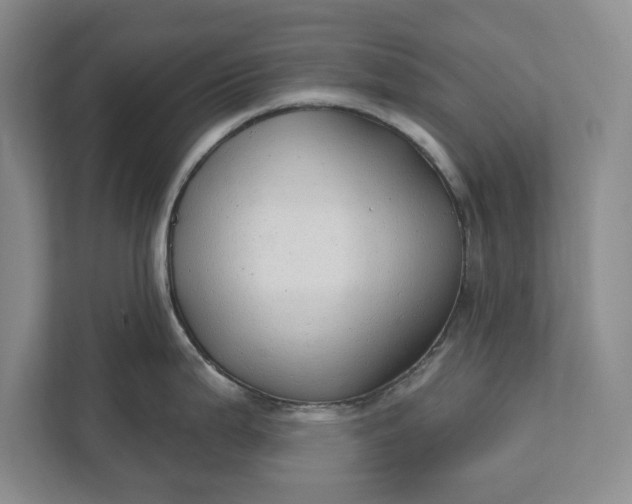 X0000112361199200908271247