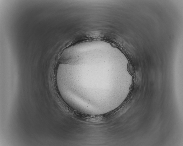 X0000112361201200908271246