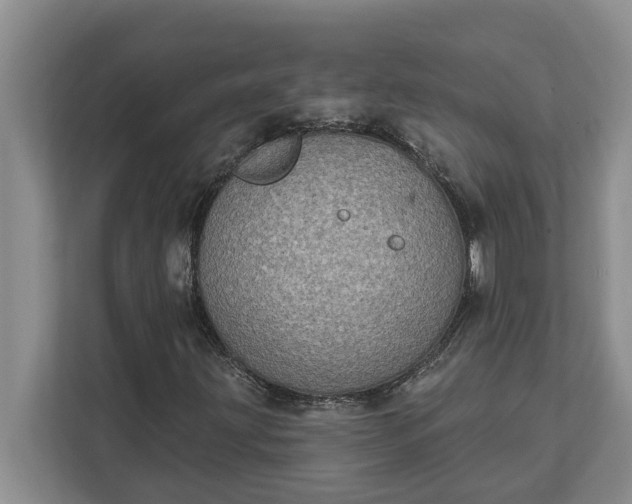 X0000112361203200908271246