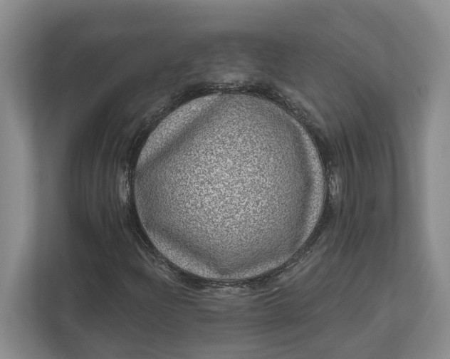 X0000112361204200908271246