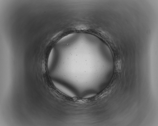 X0000112361205200908271246