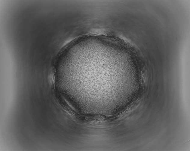 X0000112361206200908271246