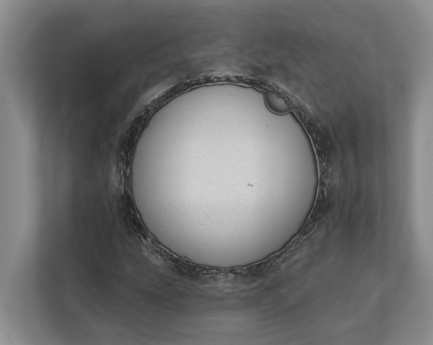 X0000112361207200908271246