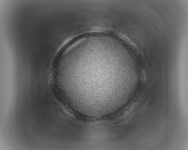 X0000112361208200908271246