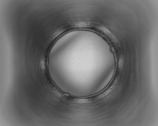 X0000112361209200908271246