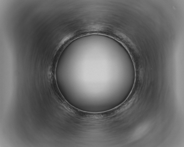 X0000112361210200908271246