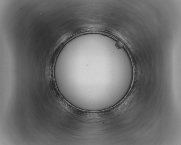 X0000112361211200908271246