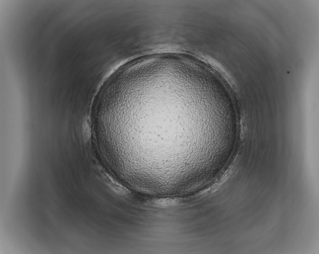 X0000112361212200908271246