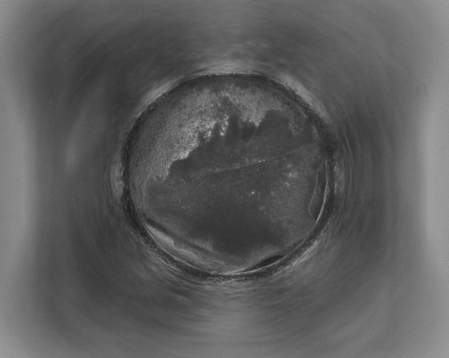 X0000112361213200908271246