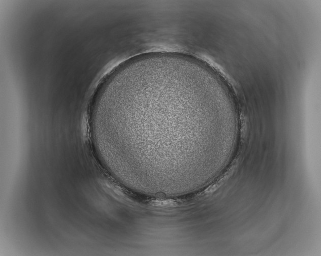 X0000112361215200908271246