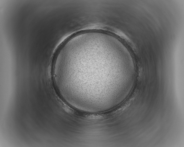 X0000112361216200908271246