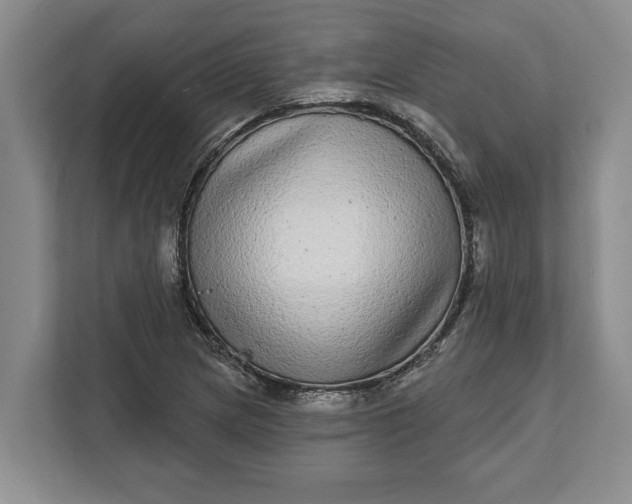 X0000112361217200908271246