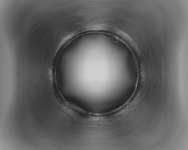 X0000112361218200908271246