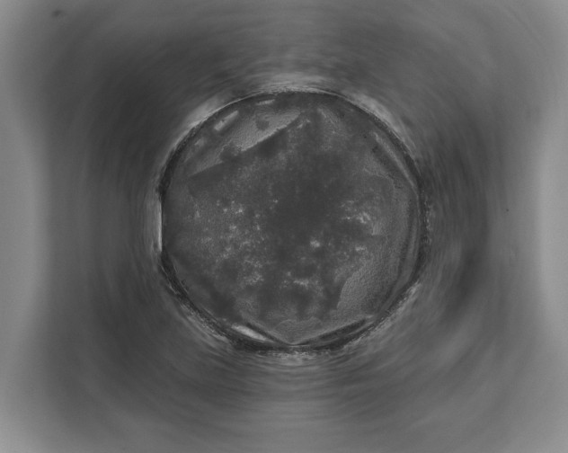 X0000112361219200908271246