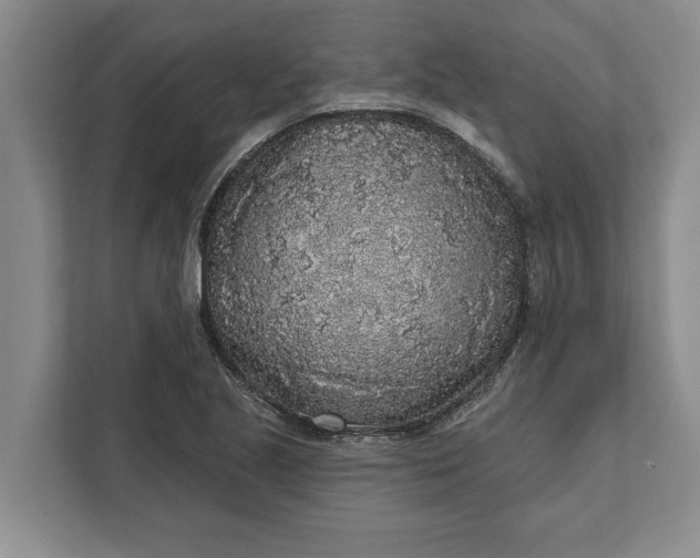 X0000112361221200908271246