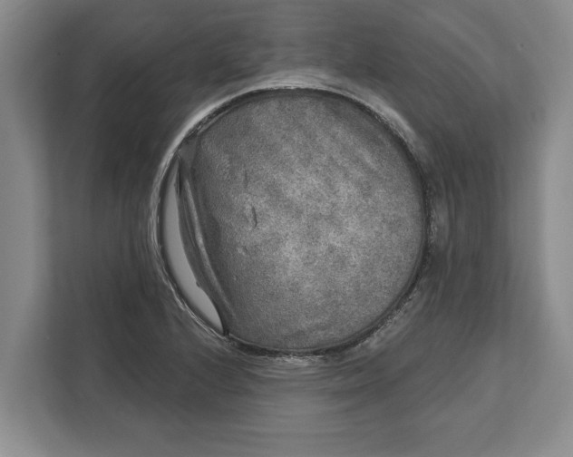 X0000112361224200908271246