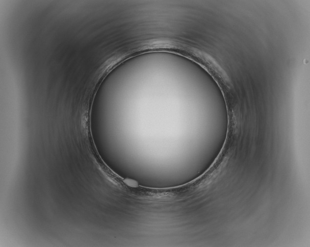 X0000112361225200908271246