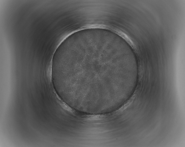 X0000112361228200908271246